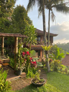 Hidden paradise
